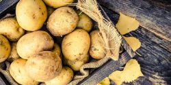 moregreece giorti patatas naxou Φεστιβάλ Πατάτας | Potato Festival