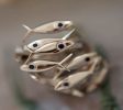 More-greece-fish-olive