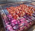 more-greece-athens-ambrosia-restaurant