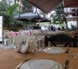 more-greece-athens-ambrosia-restaurant