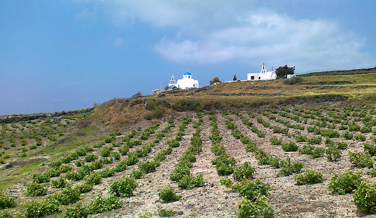 Image result for santorini wineries